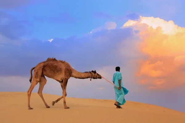 Bedouin leidt zijn kameel in Thar woestijn in de buurt van Jaisalmer, India — Stockfoto
