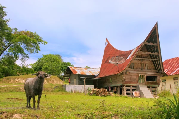 Traditioneel Batak huis op eiland Samosir, Sumatra, Indonesië — Stockfoto