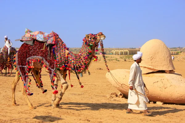 Lokale man lopen met zijn kameel op woestijn Festival, Jaisalmer, — Stockfoto