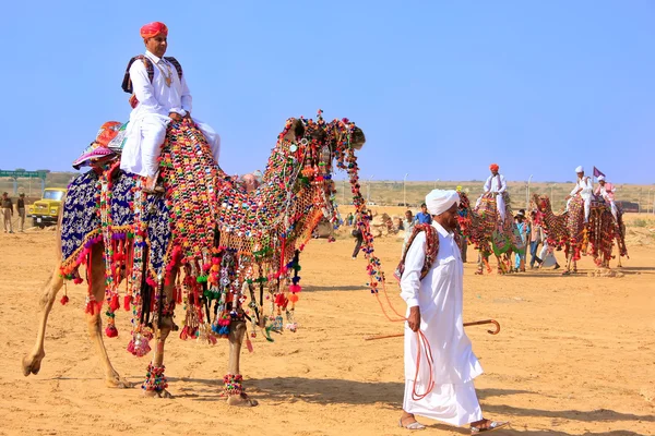 Местный житель на верблюде на фестивале в пустыне Джайсалмер, Индия — стоковое фото