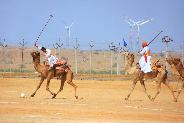 Camel polo match during Desert Festival, Jaisalmer, India — Stock Photo, Image