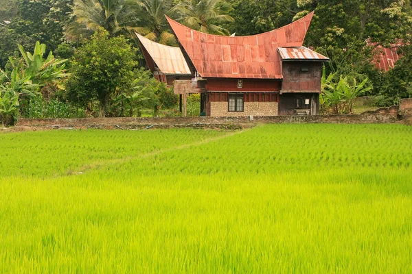 Παραδοσιακό σπίτι Batak στις Samosir νησί, Σουμάτρα, Ινδονησία — Φωτογραφία Αρχείου