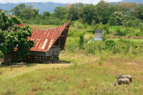 Tradiční Batak dům na Samosir island, Sumatra, Indonésie — Stock fotografie