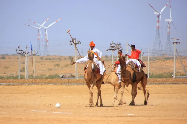 JAISALMER, INDIA - FEBRUARY 16: Unidentified men play camel polo at Desert Festival on February 16, 2011 in Jaisalmer, India. Main purpose of Festival is to display colorful culture of Rajasthan — Stock Photo, Image