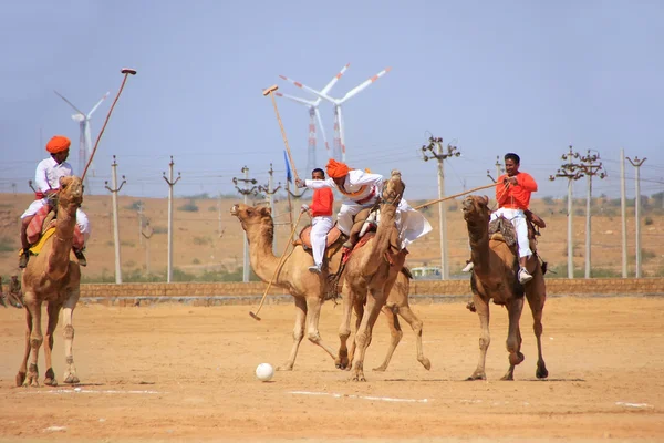 JAISALMER, INDIA - FEBRUARY 16: Unidentified men play camel polo at Desert Festival on February 16, 2011 in Jaisalmer, India. Main purpose of Festival is to display colorful culture of Rajasthan — Stock Photo, Image