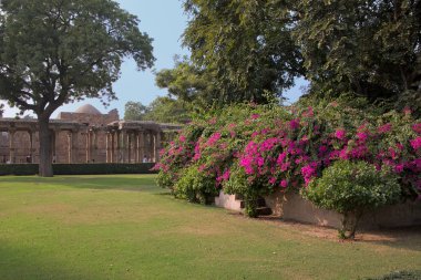 Delhi, Hindistan çiçekler ile Qutub Minar karmaşık zemin