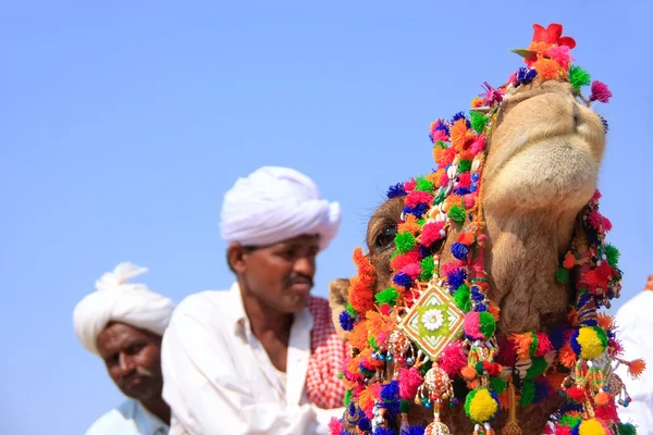 Jaisalmer, Indien-17 februari: dekorerad kamel huvud med cameleers (suddig) i bakgrunden den 17 februari, 2011 i Jaisalmer, Indien. Huvudsyftet med denna festival är att Visa kulturen i Rajasthan — Stockfoto