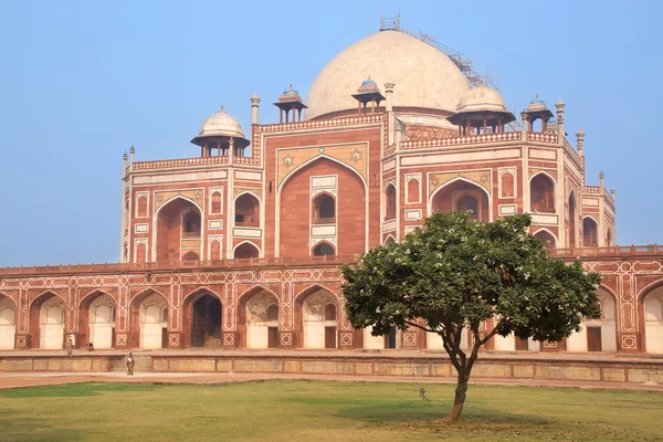 Humayun 'un Mezarı, Delhi, Hindistan — Stok fotoğraf