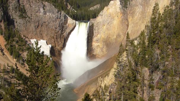 Lower Falls en Yellowstone National Park, Wyoming, Estados Unidos — Vídeo de stock