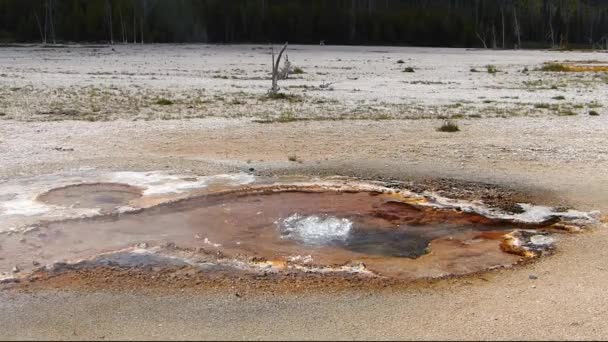 Warmwaterbron borrelen in zwart zand bekken, Yellowstone National Park, Wyoming, Verenigde Staten — Stockvideo