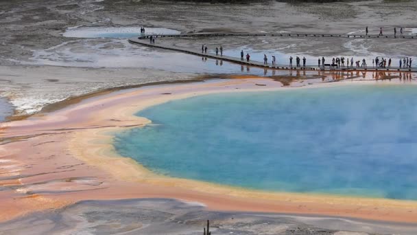Closeup aerial view of Grand Prismatic Spring in Midway geyser basin, Yellowstone National Park, Wyoming, USA — Stock Video