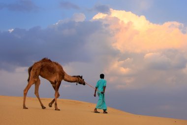 Onun deve Thar Çölü'nde önde gelen Bedevi Jaisalmer, Hindistan yakın: