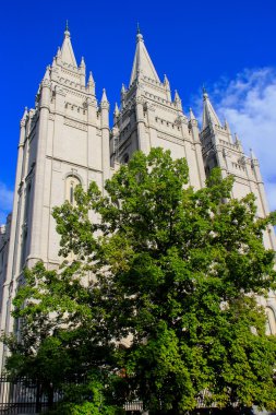 Kilise of Jesus Christ of Latter-day Saints Sal içinde Tapınağı