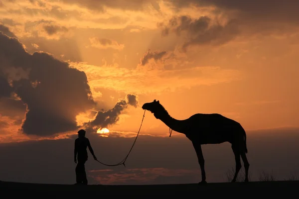 Persona silueta con un camello al atardecer, desierto de Thar cerca de Jais — Foto de Stock