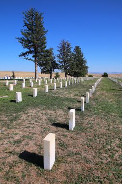 Küçük Bighorn Battlefield National Custer Ulusal Mezarlıkta