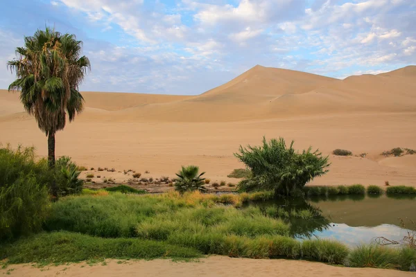 Oasis of Huacachina, Ica region, Peru. — Stock Photo, Image