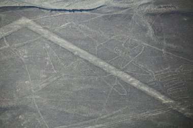 Nazca çizgileri - balina geoglyph, Peru havadan görünümü.