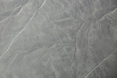 Nazca çizgileri - maymun geoglyph, Peru havadan görünümü.