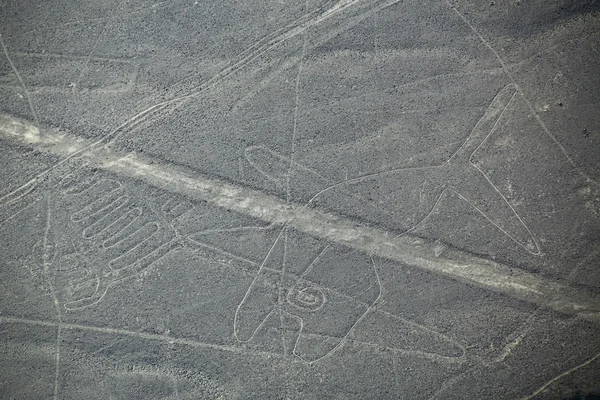 Letecký pohled na planině Nazca - velryba geoglyph, Peru. — Stock fotografie