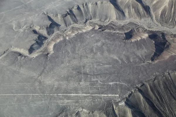 Nazca çizgileri - sinek kuşu geoglyph, Peru havadan görünümü.