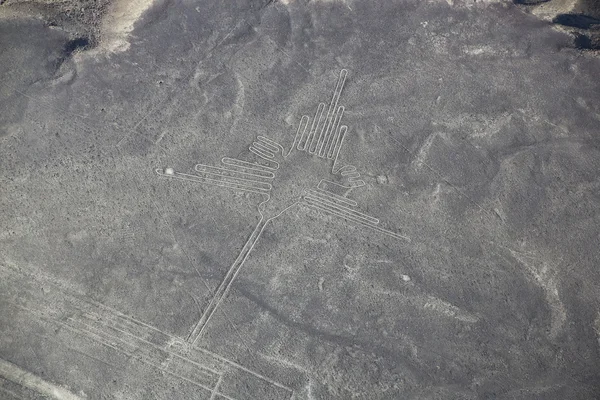 Nazca, Peru - 23 Ocak: Nazca çizgileri - sinek kuşu geoglyphs üzerinde 23 Ocak 2015 Nazca, Peru'daki hava görünümünü. Satırları 1994 yılında Unesco Dünya miras alanı belirlenmiş.