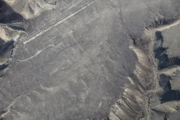 Nazca çizgileri - sinek kuşu geoglyph, Peru havadan görünümü.