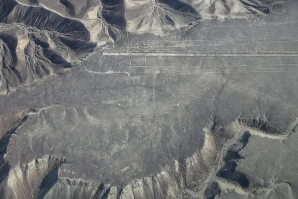 Luchtfoto van Nazca-lijnen - Hummingbird Geoglief, Peru. — Stockfoto