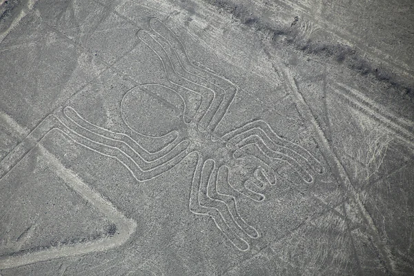 NAZCA, PERU - JANUARY 23: Aerial view of Nazca Lines - Spider geoglyphs on January 23, 2015 in Nazca, Peru. The Lines were designated as a UNESCO World Heritage Site in 1994. — Stock Photo, Image