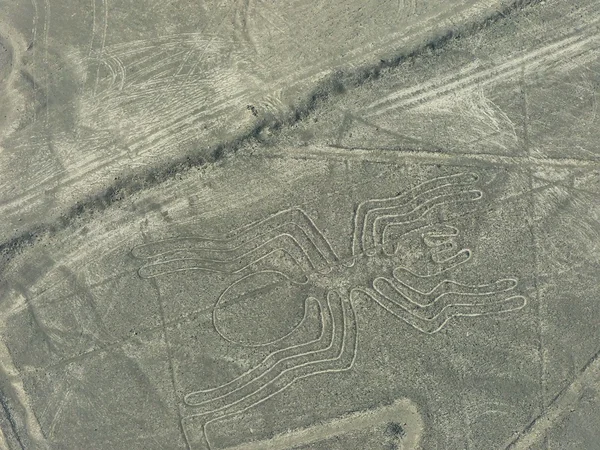 Luchtfoto van Nazca-lijnen - Spider Geoglief, Peru. — Stockfoto