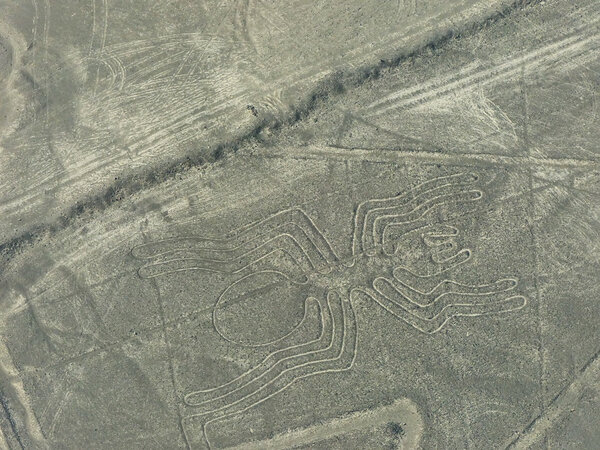 Вид с воздуха на Линии Наска - Геоглиф паука, Перу
.