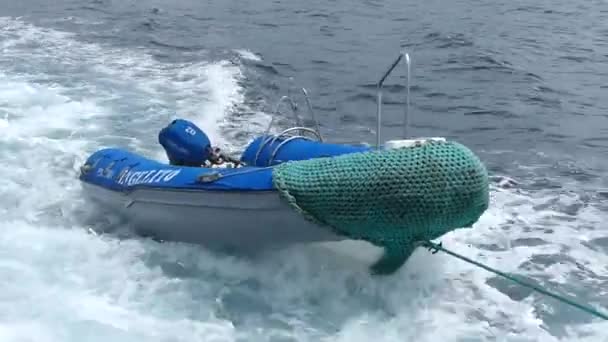 GALAPAGOS, ECUADOR - 19 DE ABRIL: bote inflable remolcado tras yate el 19 de abril de 2015 en el Parque Nacional Galápagos, Ecuador. Parque Nacional Galápagos es Patrimonio de la Humanidad por la UNESCO . — Vídeos de Stock