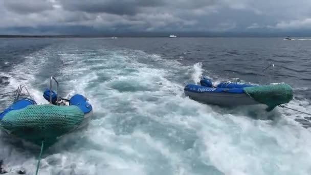 GALAPAGOS, ECUADOR - APRIL 19: Inflatable dinghies towed after yacht on April 19, 2015 in Galapagos National Park, Ecuador. Galapagos National park is UNESCO World Heritage Site. — Stock Video