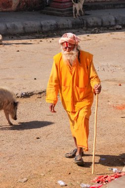 Jaipur, Hindistan - 14 Kasım: Kimliği belirsiz adam 14 Kasım 2014'te Hindistan'ın Jaipur kentinde Kigalta Tapınağı'na yürüyor. Jaipur, Hindistan'ın Rajasthan eyaletinin başkenti ve en büyük şehridir..