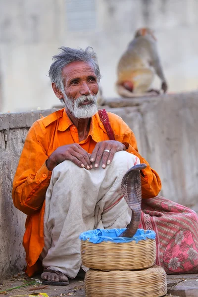 Jaipur, Indien-november 14: oidentifierad man med en Cobra sitter på gatan den 14 november, 2014 i Jaipur, Indien. Jaipur är huvudstaden och största staden i den indiska delstaten Rajasthan — Stockfoto