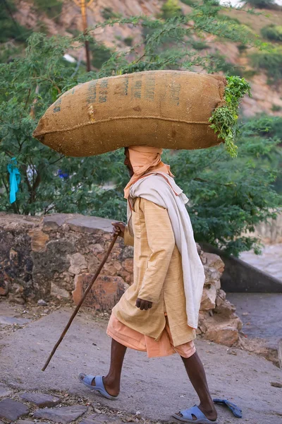 JAIPUR, INDIA - NOVEMBER 14: Unidentified man walks with a bag on his head to Galta Temple on November 14, 2014 in Jaipur, India. Jaipur is the capital and largest city of Rajasthan — Stock Photo, Image