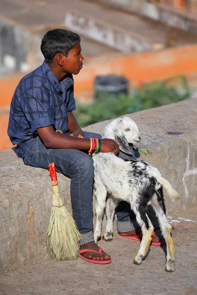 JAIPUR, INDIA - 14 DE NOVIEMBRE: Niño no identificado se sienta en una pared de piedra con una cabra el 14 de noviembre de 2014 en Jaipur, India. Jaipur es la capital y la ciudad más grande del estado indio de Rajastán — Foto de Stock