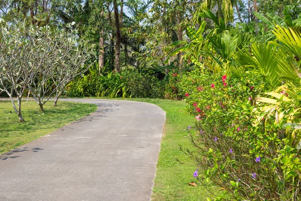 Gebiet Eines Tropischen Gartens Mit Einem Wanderweg Bäume Mit Blumen — Stockfoto