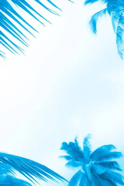 Defocused Blurred Background Palm Leaves Sides Blue Tinted Place Text — Stock Photo, Image