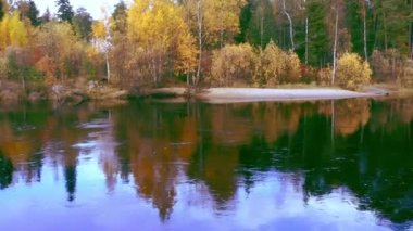 Güneşli bir günde nehre yansıyan sonbahar karışık ormanı