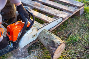 Bir adam elektrikli testere ile kütük kesiyor. Kış için yakacak odun hazırlığı.