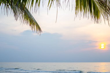 Tropik iklimlerde deniz kenarında narin leylak gün batımı, yaz tatilleri, kopyalama alanı.