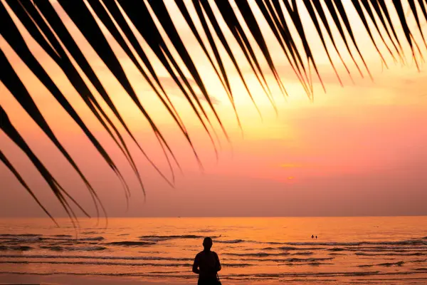 Tramonto Arancione Brillante Sulla Costa Del Mare Tropici Una Silhouette — Foto Stock