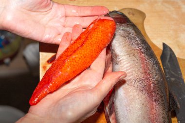 Gutted trout with caviar. The woman cut the fish and took out red caviar from the inside. clipart