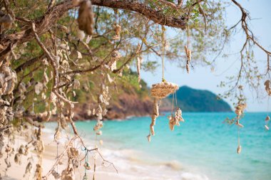 wish tree with hanging corals on the background of the azure sea, travel and tourism in Asia, sea holidays, fulfillment of dreams clipart