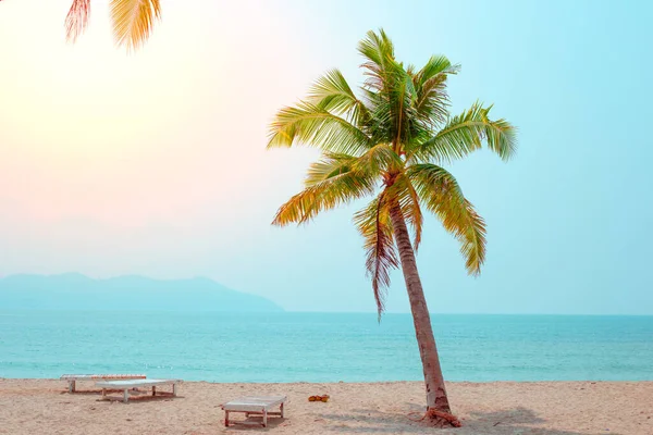 Green Palm Tree Sand Blue Sea Tropical Island Paradise Seascape — Stock Photo, Image