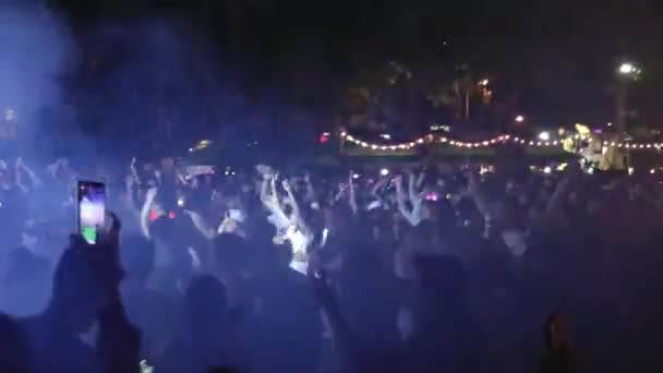 ปาร์ตี้ดนตรีปีใหม่ที่ชายหาด — วีดีโอสต็อก