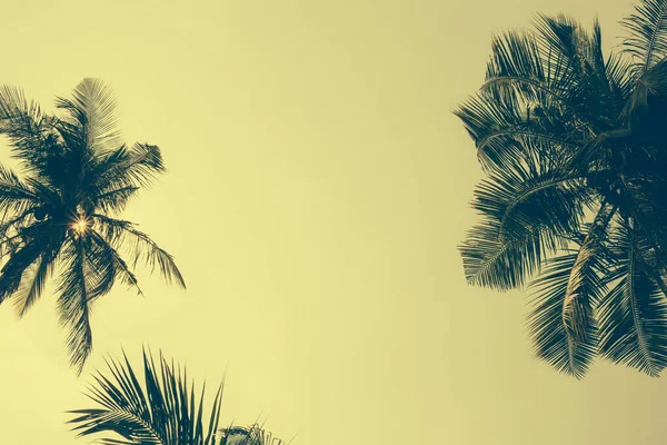 Верхівки Пальмових Дерев Проти Неба Під Час Заходу Сонця Жовтий — стокове фото