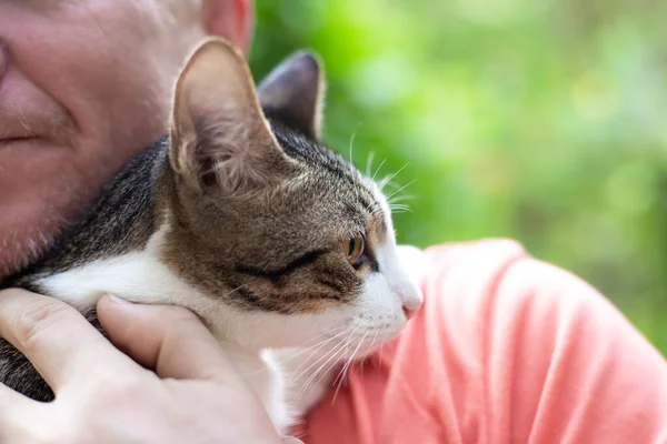 Uomo Adulto Tiene Gatto Tra Braccia Tenendolo Stesso Amore Gli — Foto Stock