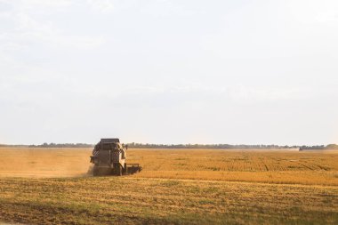Büyük bir hasat makinesi, açık güneşli bir sonbahar gününde tarlada tahıl hasadının hasat edilmesinde tarım ve tarım hammaddesinin hasat edilmesinde çalışır.