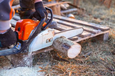 Bir adam testere ile odun kesiyor. Kış için yakacak odun hazırlıyorum. Bir kır evinde ısıtma.